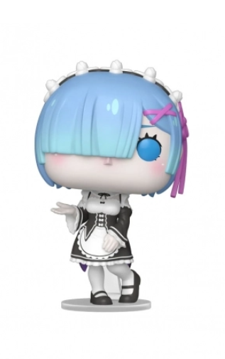 Rem 2113