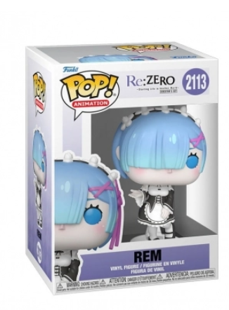Rem 2113