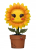 Sunflower 03