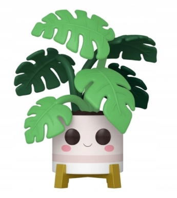Monstera 02