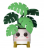 Monstera 02