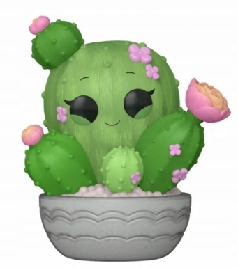 Barrel Cactus 01